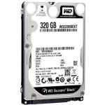 Hard Disk Western Digital 320 gb WD3200BEKT